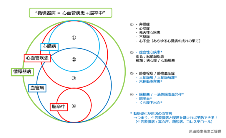 心臓病の危険因子